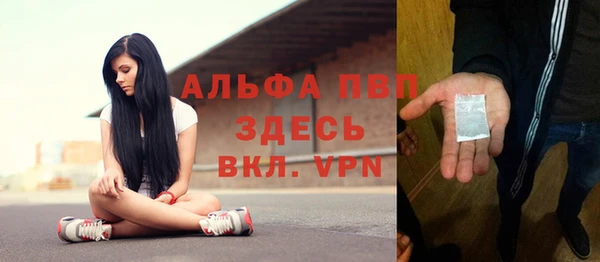 шишки Рославль