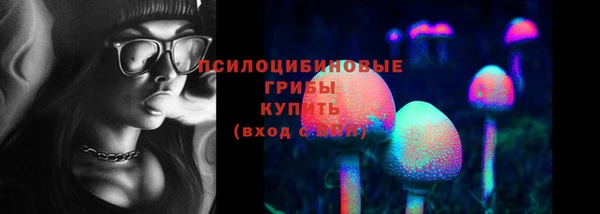 хмурый Богородицк