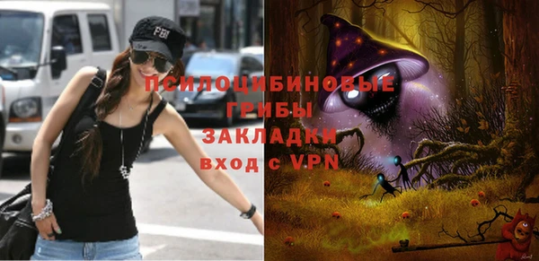 хмурый Богородицк