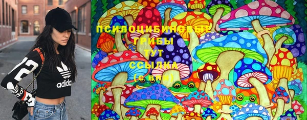 спайс Богданович