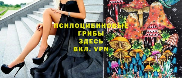 спайс Богданович