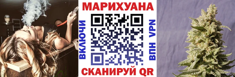 Бошки марихуана Bruce Banner  Купить где  Вилючинск 